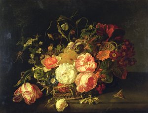 Blomster og insekter, 1711